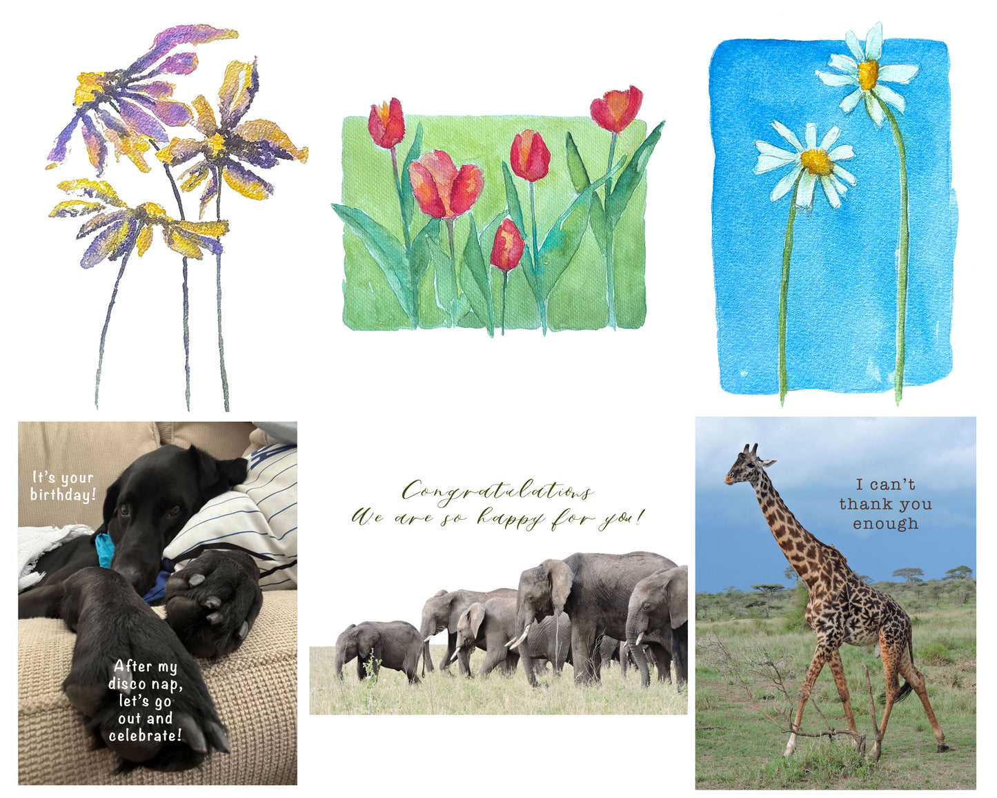 Everyday Card Set #1