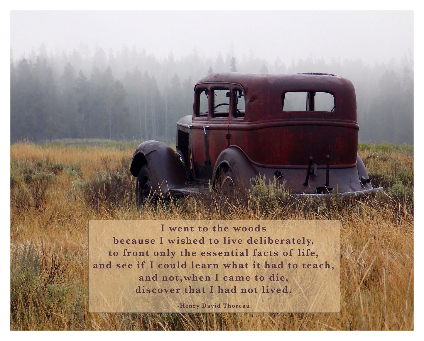 Into the Woods, Henry David Thoreau Quote Print