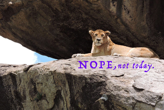 "NOPE, Not Today" Sticker