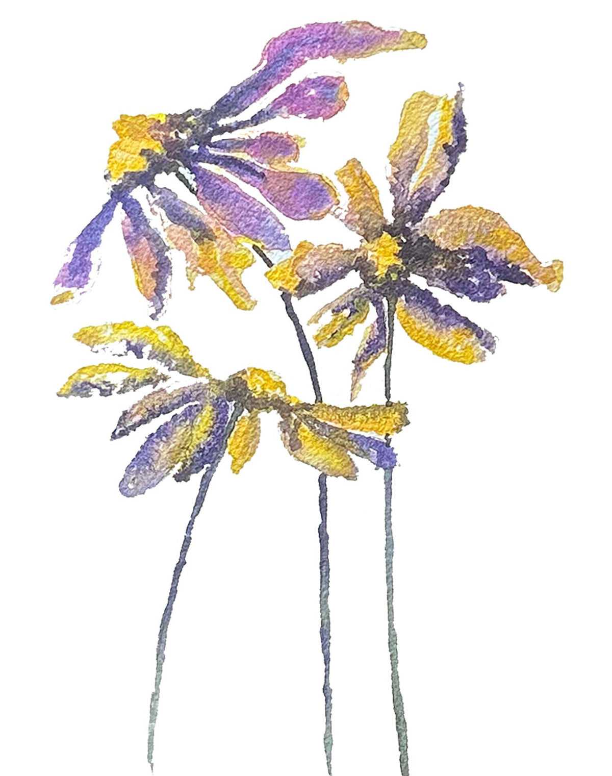 Poppy Note Card