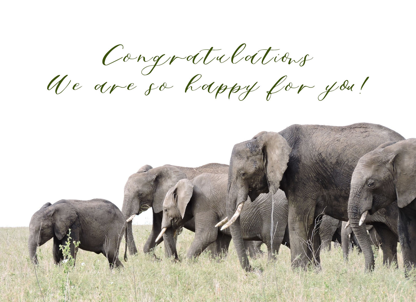 Congratulations We Are So Happy for You! Card