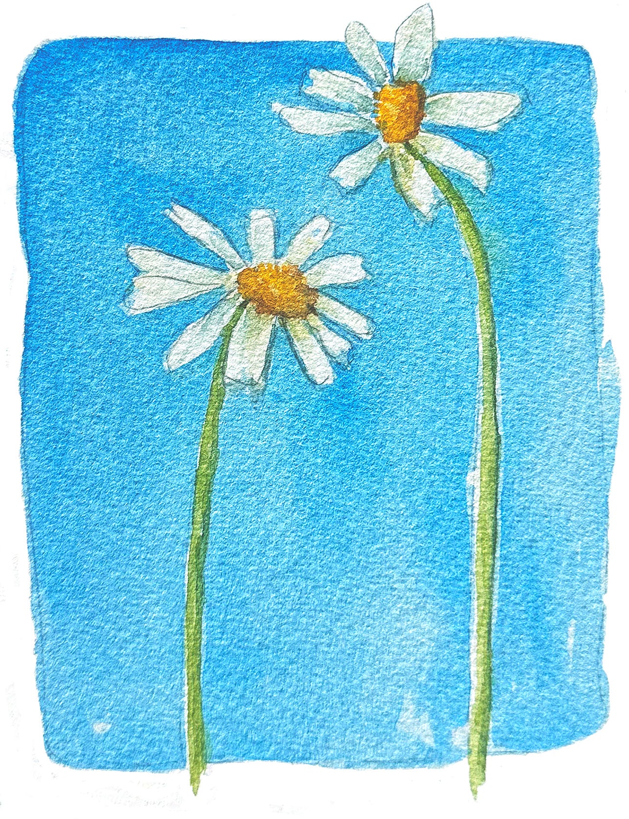 Genevieve Note Card