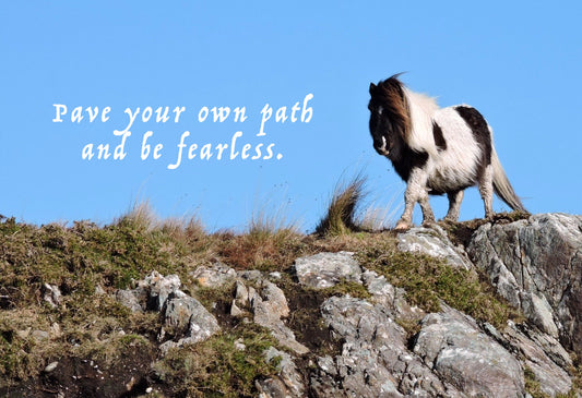 "Pave Your Own and Be Fearless" Sticker