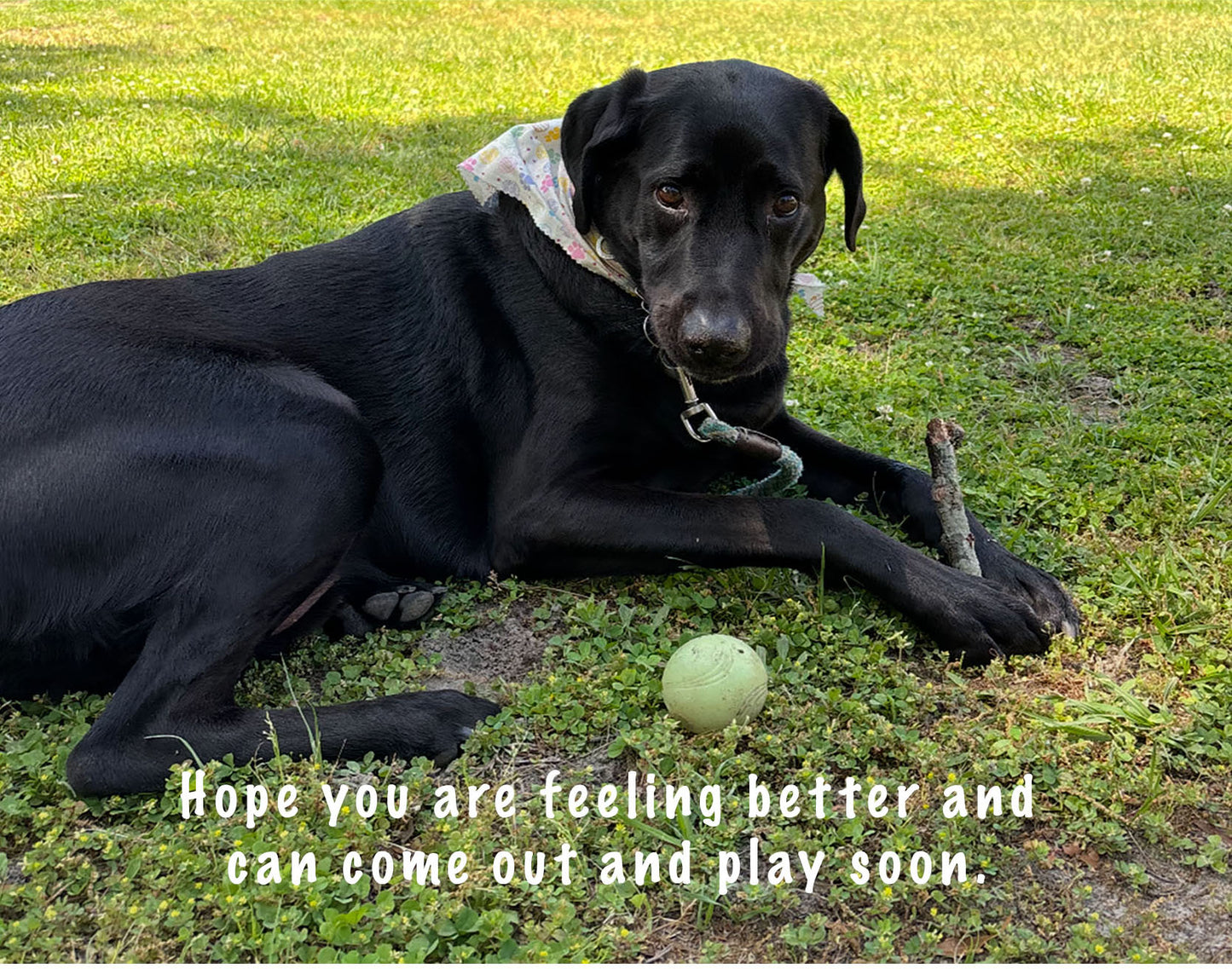Come Out and Play - Get Well Card