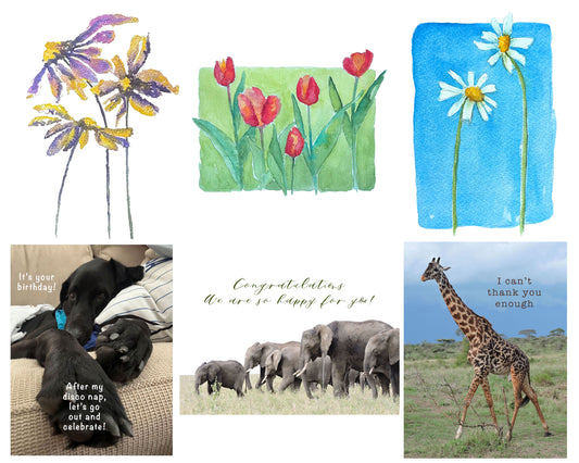 Everyday Card Set #1