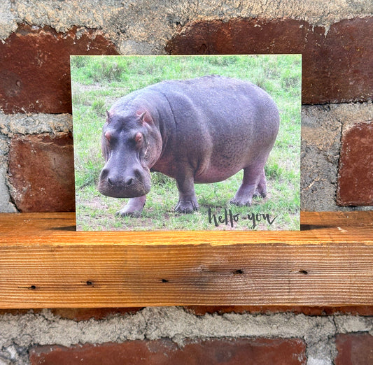 Hippo "Hello You" Note Card