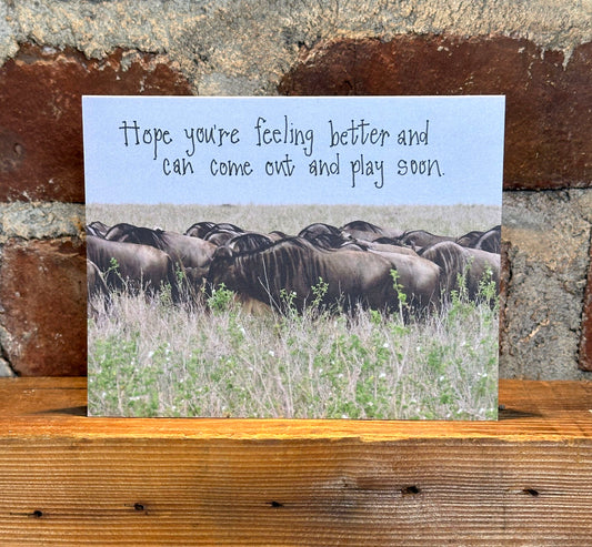 "Hope You're Feeling Better" Note Card