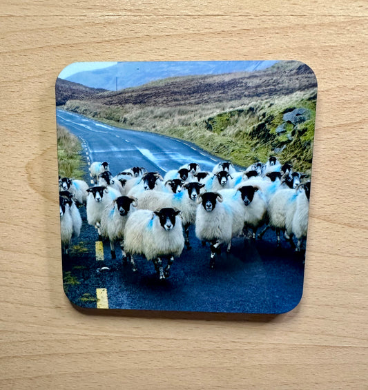 European Photo Coasters