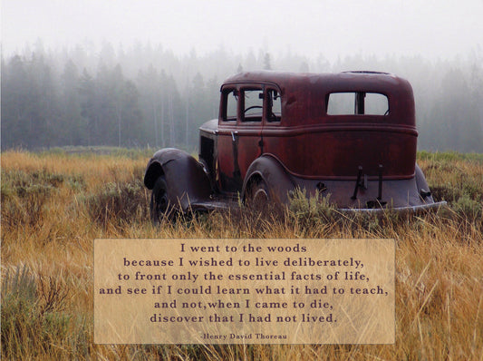 "To the Woods" Henry David Thoreau Quote Note Card