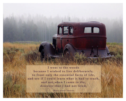 Into the Woods, Henry David Thoreau Quote Print