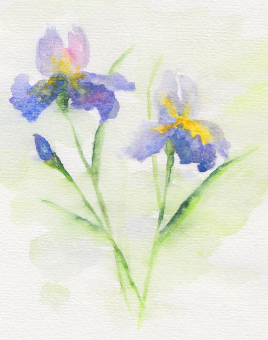 Iris Watercolor Floral Note Card