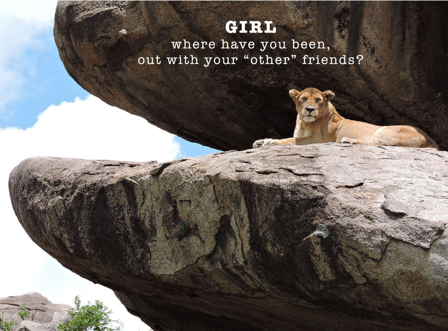 Fun Friendship Card