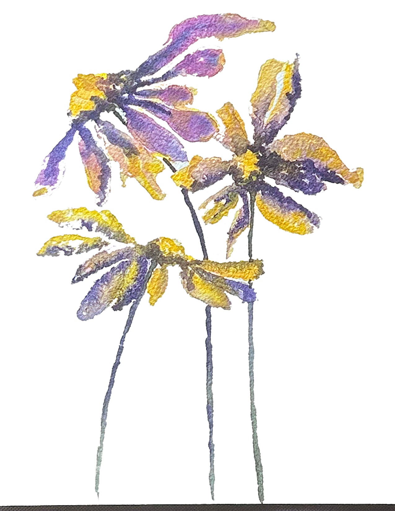 Poppy Note Card