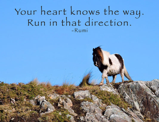 "Your Heart Knows" Rumi Quote Note Card