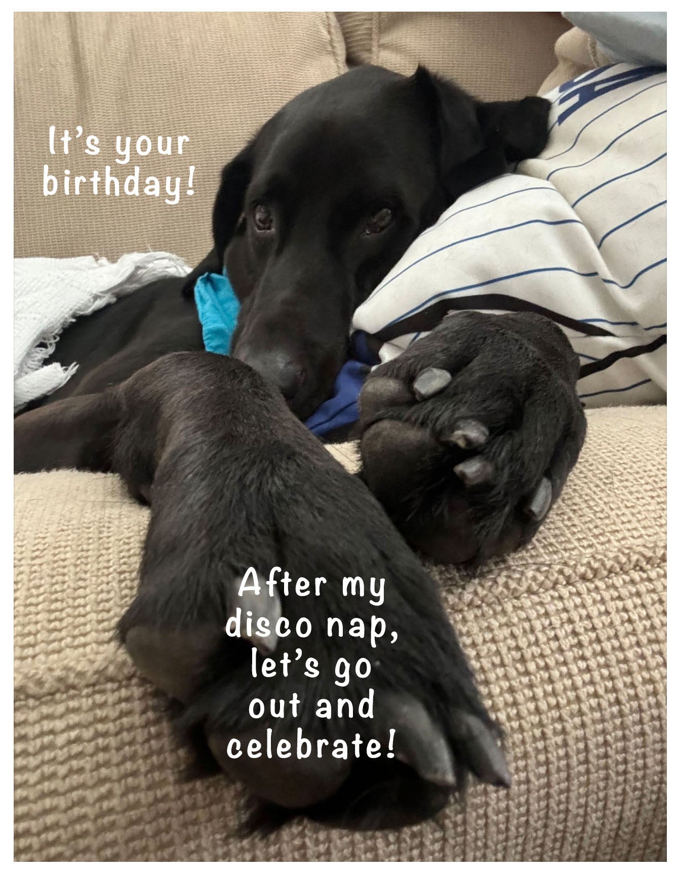 Happy Birthday Disco Nap Card