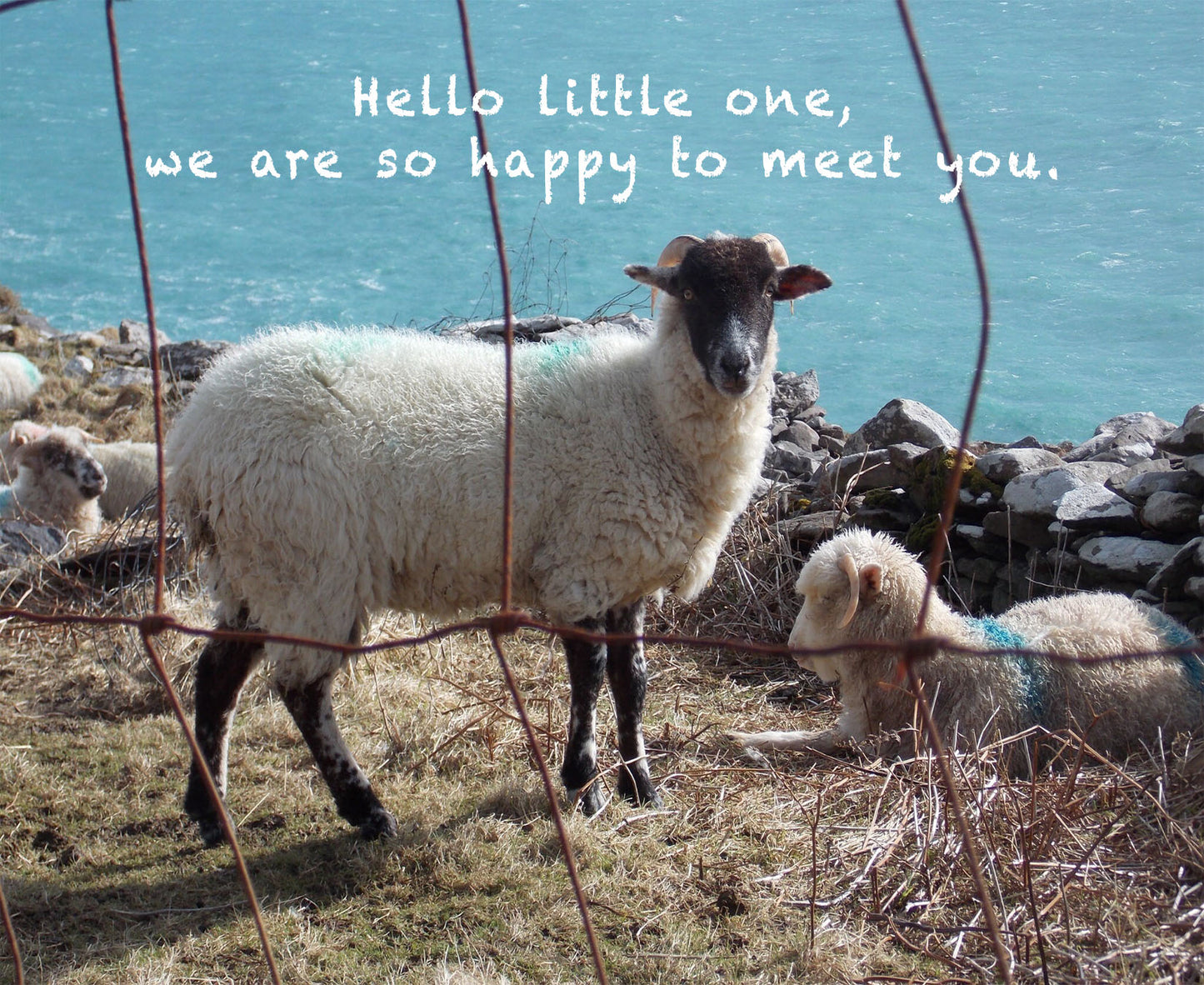 Hello Little One Note Card