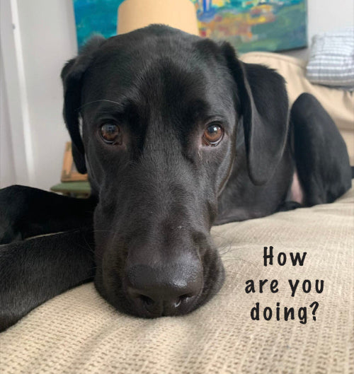 How Are You Doing? Card