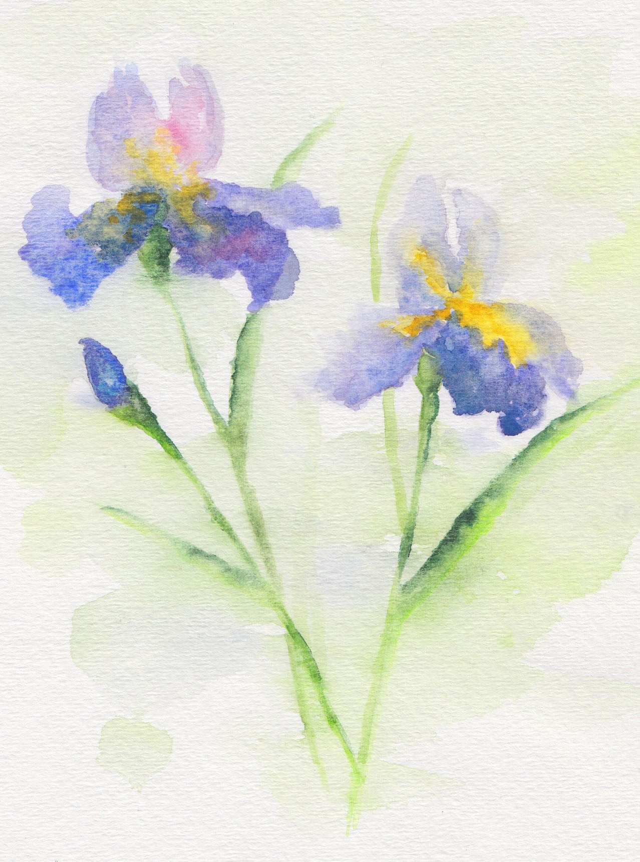 Floral Girls Note Cards - Set of 11.  LAST ONE!!