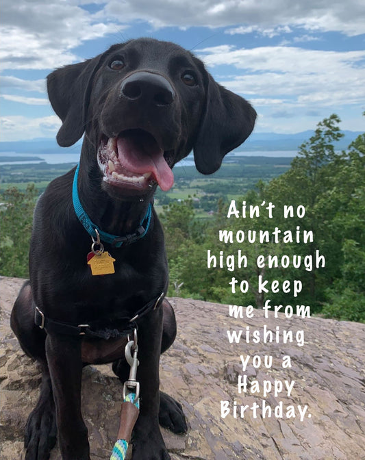 Wishing You a Happy Birthday Card