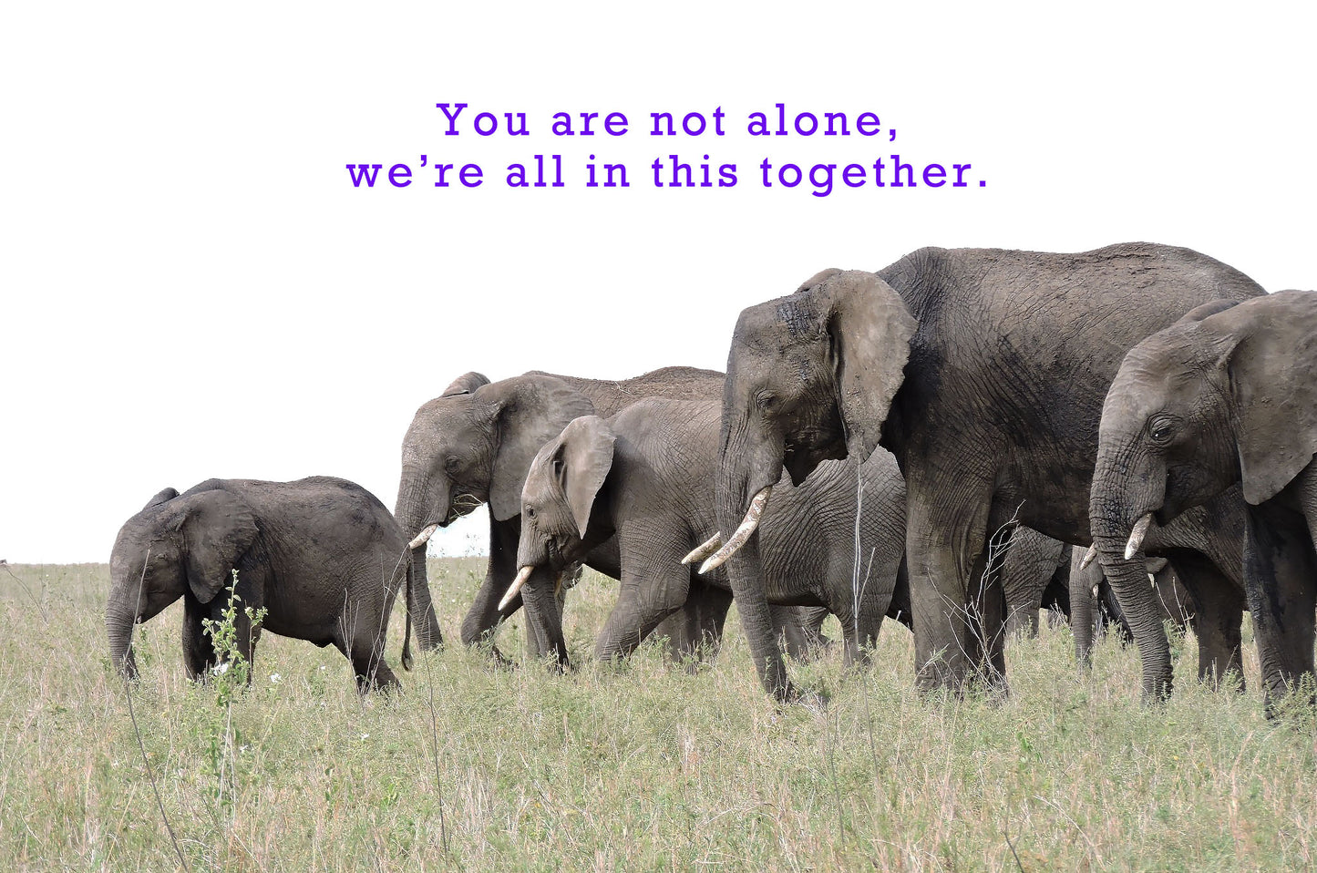 You Are Not Alone Sticker