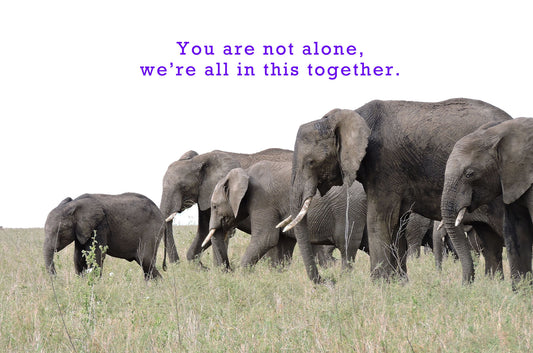 You Are Not Alone Sticker